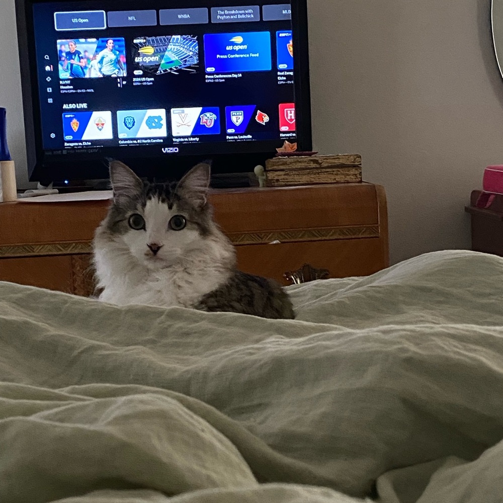 Meet your Posher, Bobbie